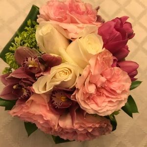 Meet your Posher, Lara